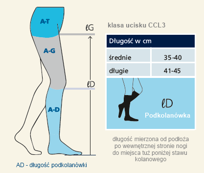 Rozmiar podkolanówki Sigvaris CCL3